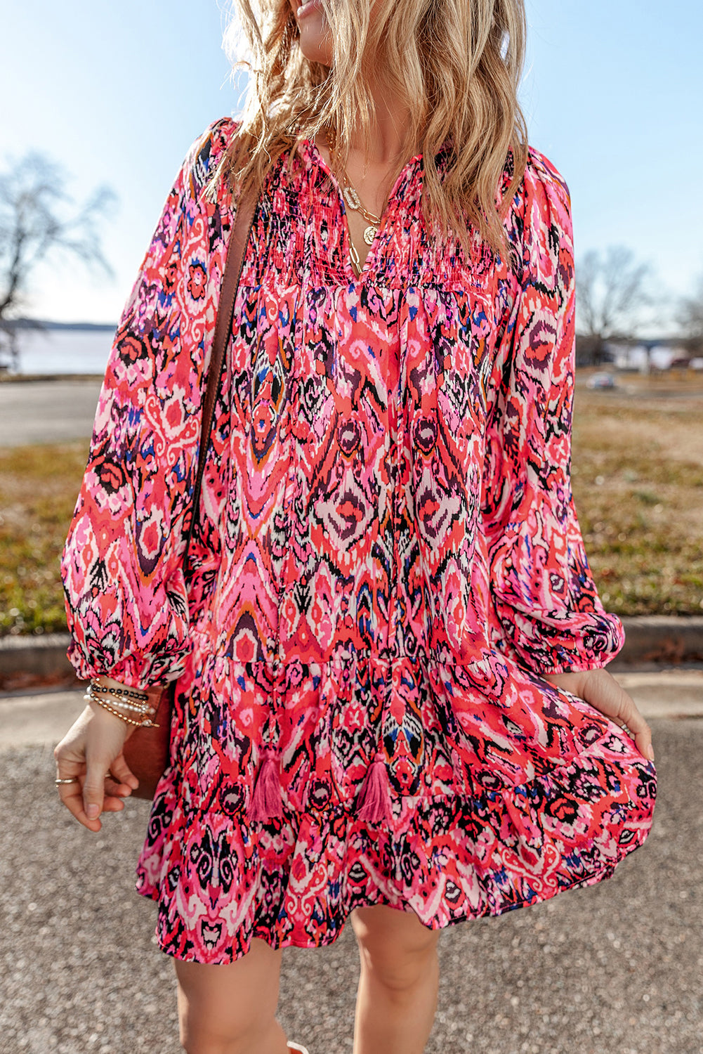 Rose Abstract Printed Tassel Tied Neck Long Sleeve Ruffled Mini Dress