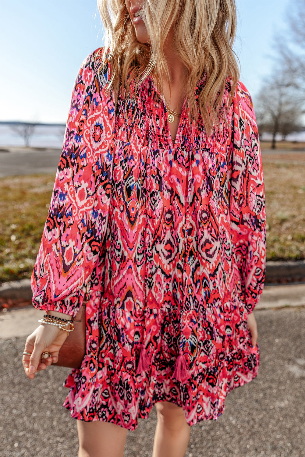 Rose Abstract Printed Tassel Tied Neck Long Sleeve Ruffled Mini Dress